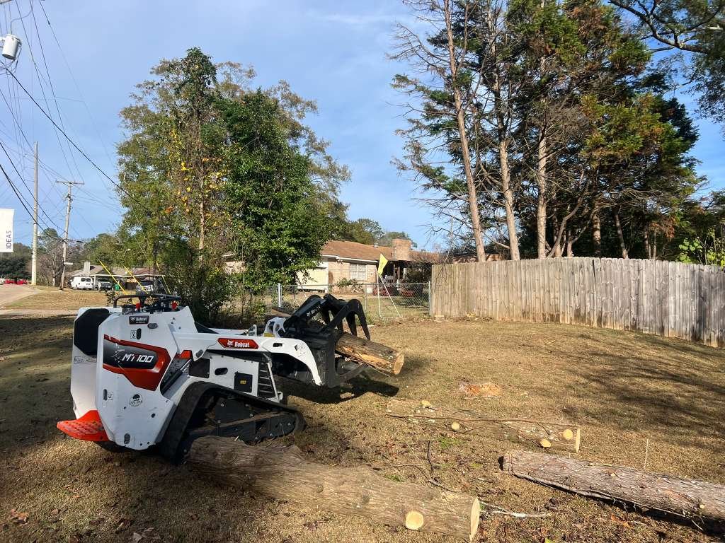 Lawn Mowing